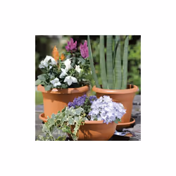 Stefanplast Vaso in Plastica - Colore Coccio - Ø 30 cm H 12 cm - Vista aggiuntiva 3