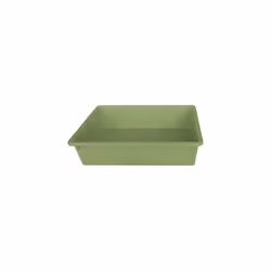 TOILETTE X GATTI APERTA STEFANPLAST PP BLU CM 40X30 H.CM 10 In plastica verde.