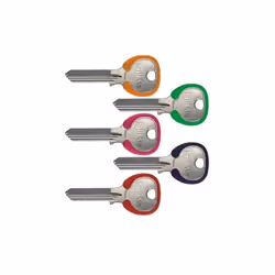 Bordo testa colorato. Colori assortiti. IE3 DZ