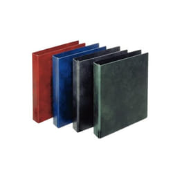 Esselte 390552050 raccoglitore ad anelli A4 Blu