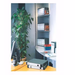 Esselte Registratori plastificati con custodia DELSO LINE - F.to Commerciale - Dorso 5 - Vista aggiuntiva 2