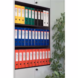 Esselte Registratori in plastica con custodia EUROFILE - F.to Commerciale - Dorso 5 cm - Vista aggiuntiva 2