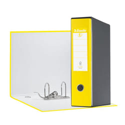 Esselte Registratori in plastica con custodia EUROFILE - F.to Protocollo - Dorso 8 cm
