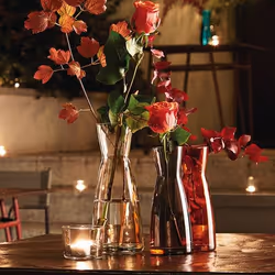 Bormioli Rocco ALB099 caraffa, brocca e bottiglia 1 L Trasparente - Vista aggiuntiva 3