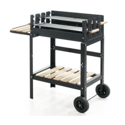 Bbq carrello grande - Verdelook