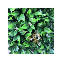 Siepe artificiale gelsomino 1x1 m