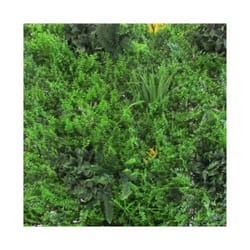 Pannello Decorativo Sempreverde Verticale 100x100 cm
