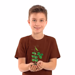 Clementoni Crea Idea La Botanica - Vista aggiuntiva 5