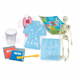 Clementoni Science & Play Anatomia Scheletro E Organi - Vista aggiuntiva 3