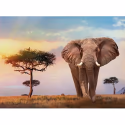 Clementoni African Sunset Puzzle 500 pz Animali