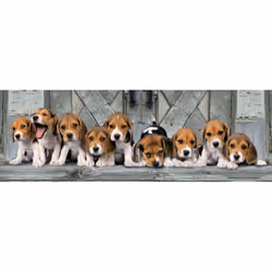 Clementoni 39435 puzzle 1000 pz Animali - Vista aggiuntiva 2