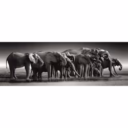 Clementoni 39895 puzzle - Vista aggiuntiva 2