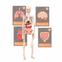 Clementoni 52736 giocattolo e kit di scienza per bambini - Vista aggiuntiva 8