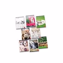 Pigna 8005235100398, Immagine, Multicolore, A4, 42 fogli, 80 g/m², Carta rigata
