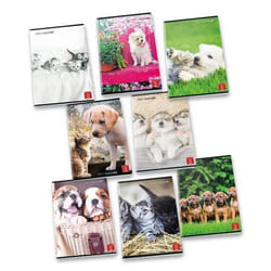 Pigna 8005235100435 quaderno per scrivere A4 42 fogli Colori assortiti