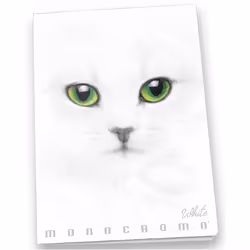 Pigna Monocromo, Immagine, Bianco, A4, 19 fogli, Opaco, 100 g/m²