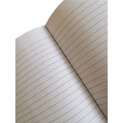 Pigna 02312181R quaderno per scrivere A4 160 fogli Multicolore