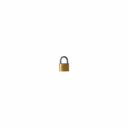 LUCCHETTO AD ARCO VIRO in OTTONE mm.30 lunghezza arco 64 mm