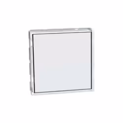Pulsante targa porta nome Bticino Matixgo 1P illuminato 2 moduli - J4040 Pulsante targa portanome 1P (NO) 3A 250Va.c.m Illumi ...