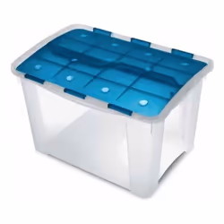 Terry Store-Age Home Box 60, Armadietto portaoggetti, Blu, Trasparente, Rettangolare, 60 L, 412 mm, 595 mm