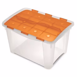 Terry Store-Age Home Box 40, Armadietto portaoggetti, Trasparente, Rettangolare, Monocromatico, Universale, Arancione