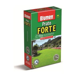 Prato forte soleggiato Blumen 1KG