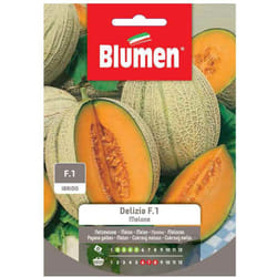 Semi melone delizia F1 ibrido Blumen