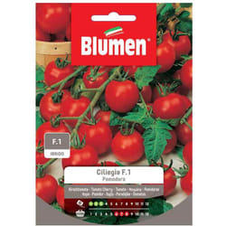 Semi pomodoro ciliegia F1 ibrido Blumen