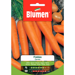 Carota Flakkée: Radice dalla forma leggermente conica, lunga 24/28 cm, di colore arancio intenso. N.B.: non è possibile per n ...