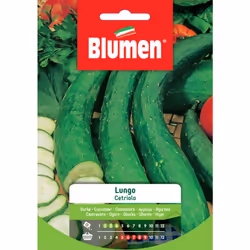 Semi di Cetriolo Lungo - Blumen