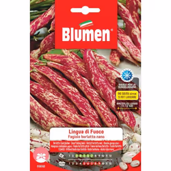 Fagioli Borlotti Nani Lingua di Fuoco: È un fagiolo a pianta rampicante ed a maturazione medio-precoce, con baccelli lunghi, ...