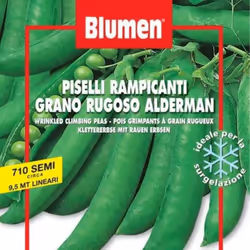 Semi Di Piselli Rampicanti Gran Rugoso Alderm In Busta I semi di piselli rampicanti Gran Rugoso Alderm in busta sono perfetti ...