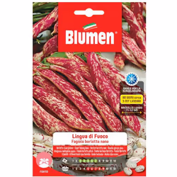 Fagioli Borlotti Nani Lingua di FuocoÈ un fagiolo a pianta rampicante ed a maturazione medio-precoce, con baccelli lunghi, to ...