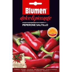 Blumen Peperone Saltillo Pepe 1 pz
