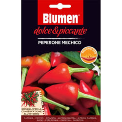 Blumen Peperone Mechico Pepe 1 pz