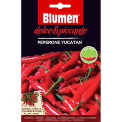 Blumen Peperone Yucatan Pepe 1 pz