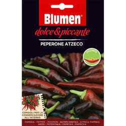 Blumen Peperone Azteco Pepe 1 pz