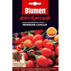 Blumen Peperone Cancun Pepe 1 pz