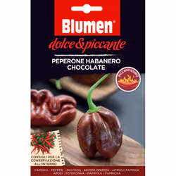 Blumen Peperone Habanero Chocolate