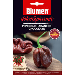 Blumen Peperone Habanero Chocolate Pepe 1 pz