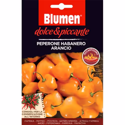 Blumen Peperone Habanero Arancio, Pepe, 1 pz