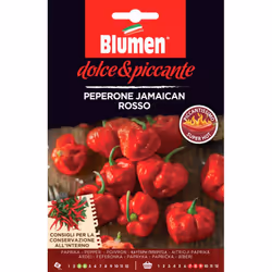 Blumen Peperone Jamaican Rosso, Pepe, 1 pz