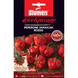 Blumen Peperone Jamaican Rosso Pepe 1 pz