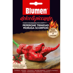 Blumen Peperone Trinidad Moruga Scorpion Pepe