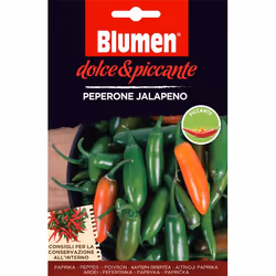 Blumen Peperone Jalapeno