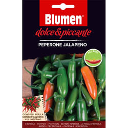 Blumen Peperone Jalapeno Pepe