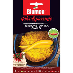 Blumen Peperone Paprica Giallo Pepe