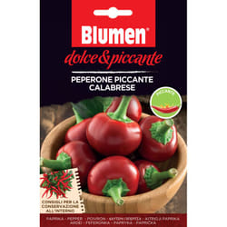 Blumen Peperone Piccante Calabrese Pepe