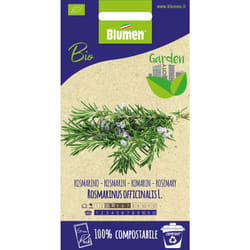 Semi di rosmarino bio greenpack Blumen