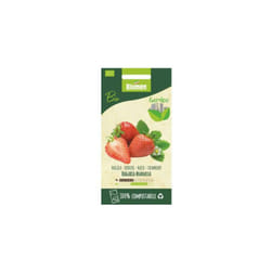 Semi Di Fragola Bio